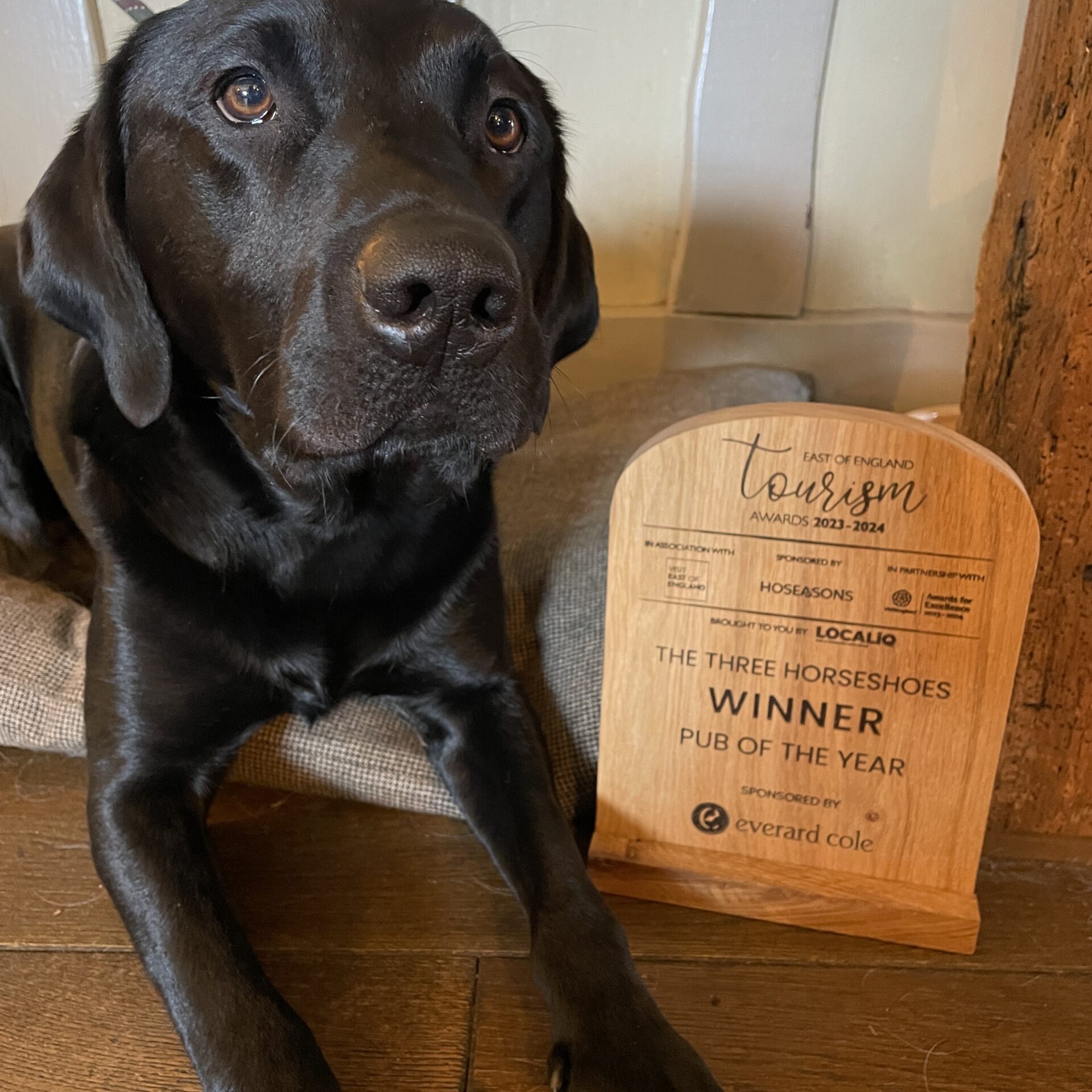 Toby the Pub Dog